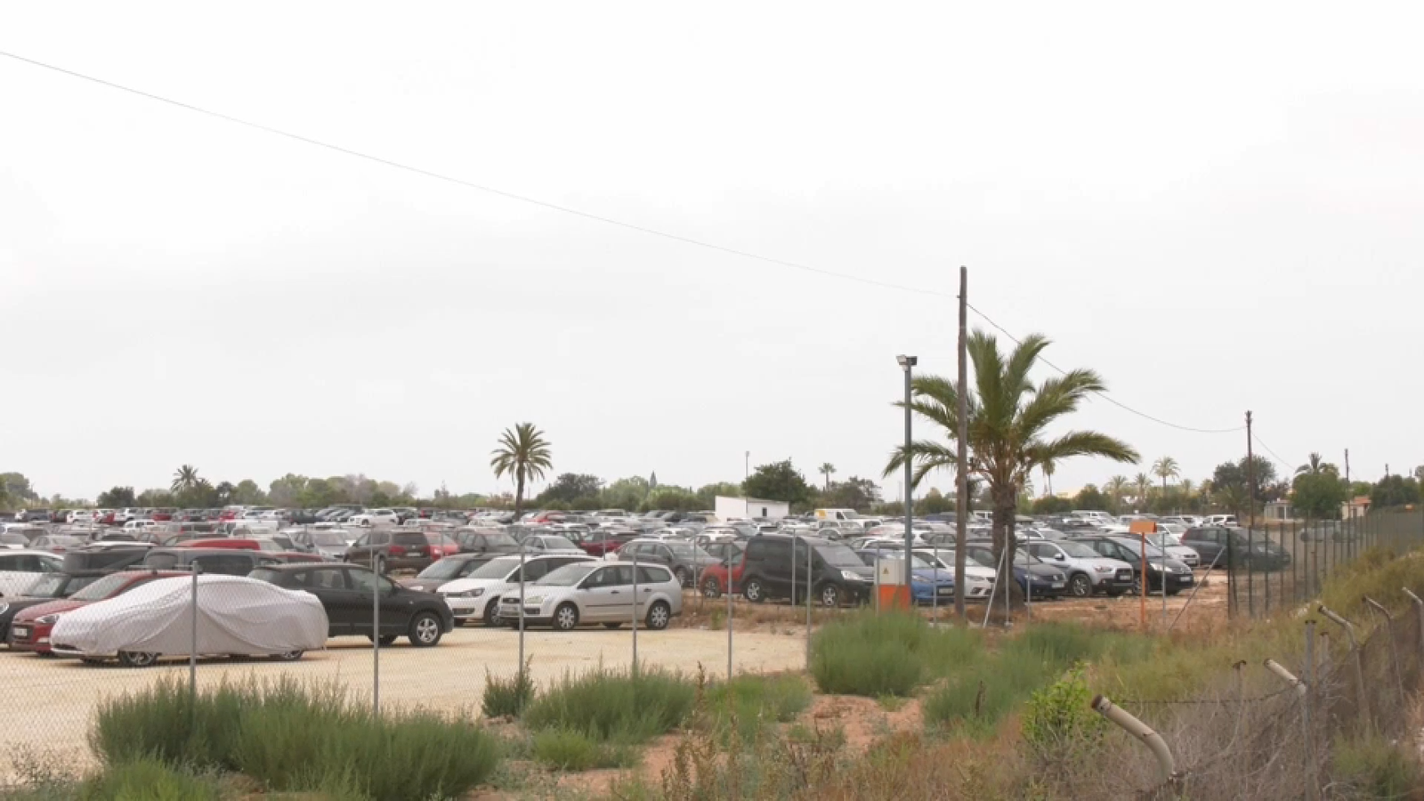 En la imatge, una de les campes il·legals a Elx