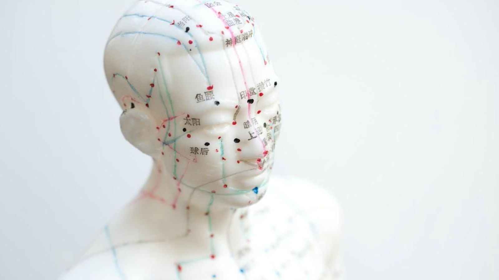 Maniquí amb marques per a dur a terme la pràctica de l'acupuntura