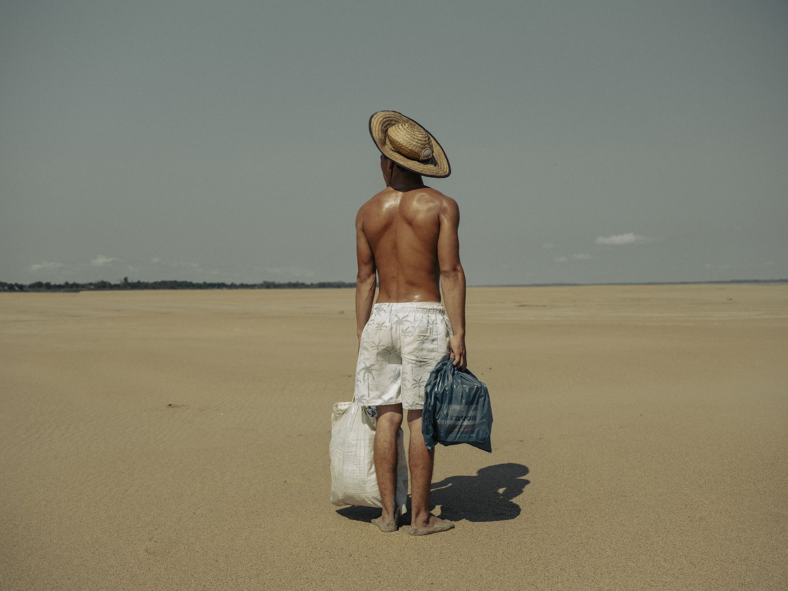 'Sequera a l'Amazones'