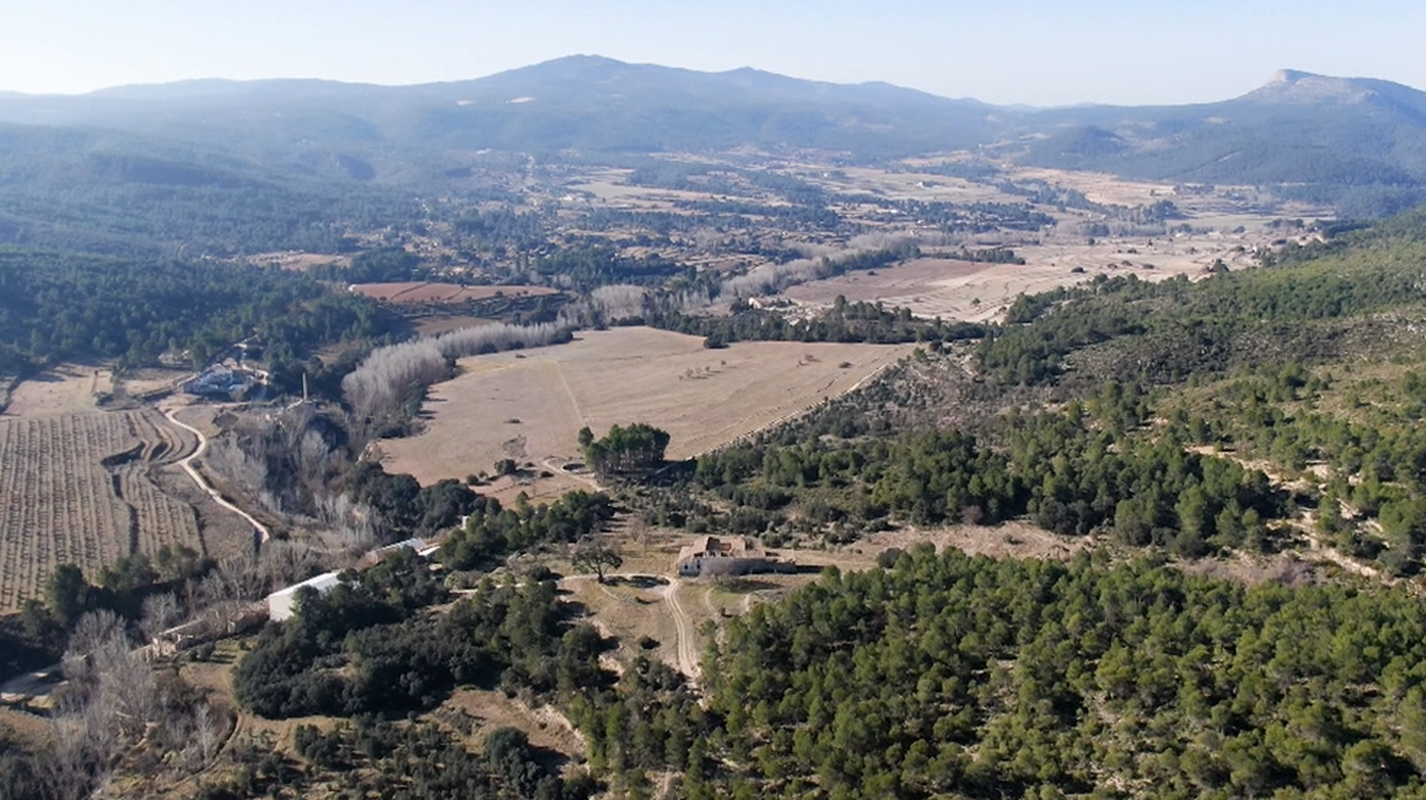 banyeres mariola