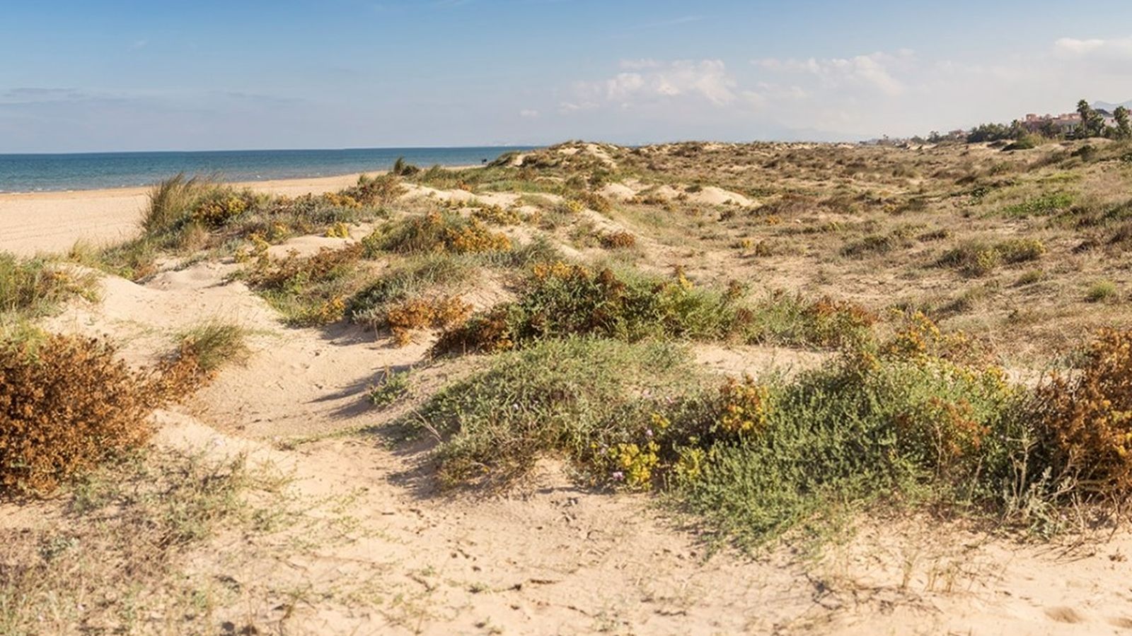 65255505 1313349972148012 5022834609084170240 n