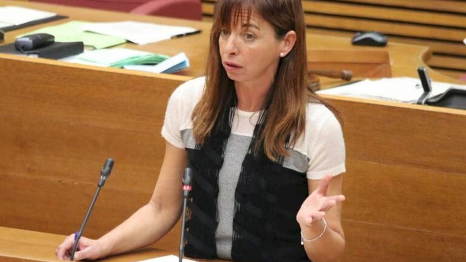 Rebeca Serna en una intervenció a les Corts