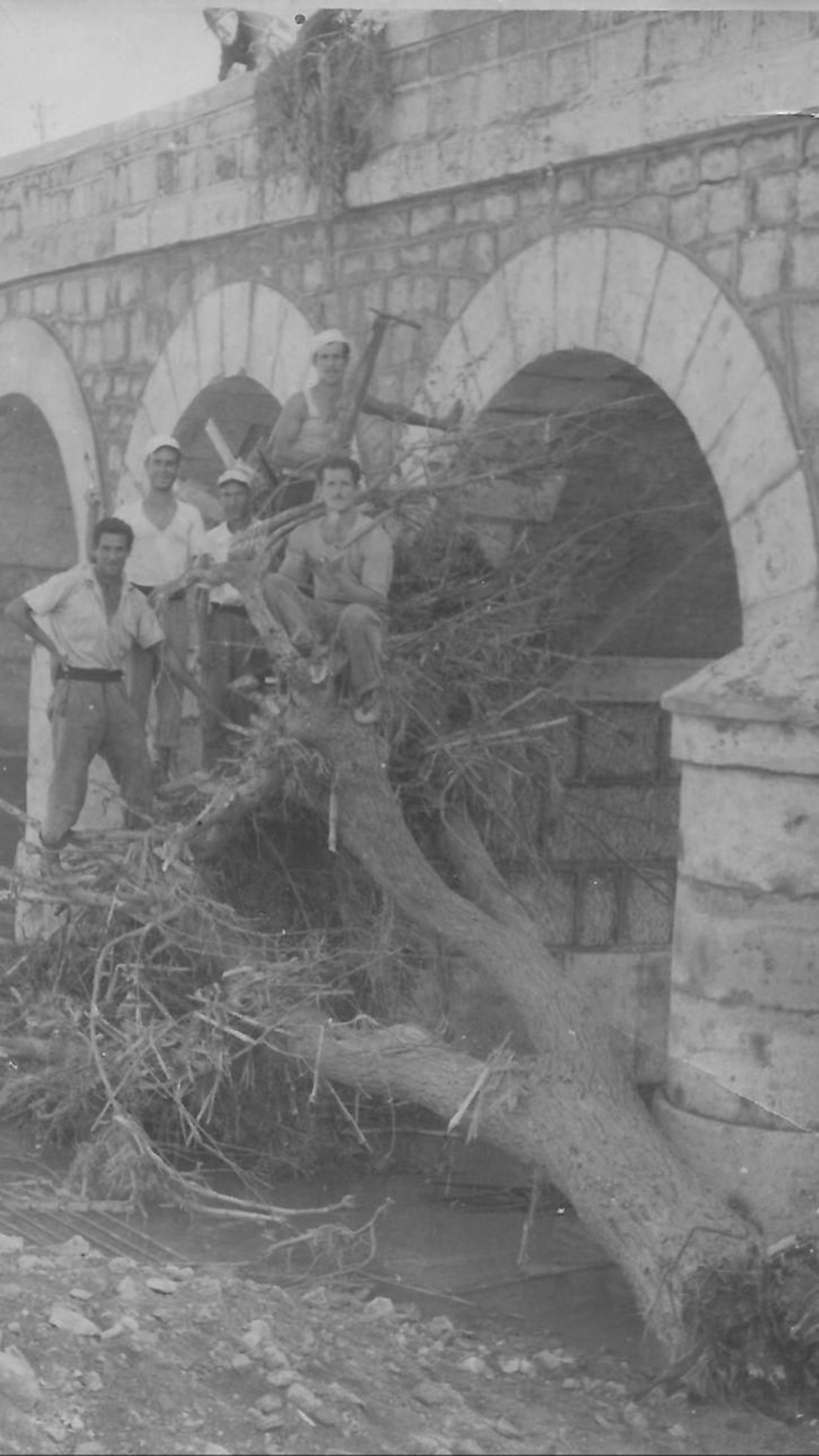 El pont de l'Albereda de Bétera amb les restes d'un arbre arrossegat per l'aigua per la riuada del 1949