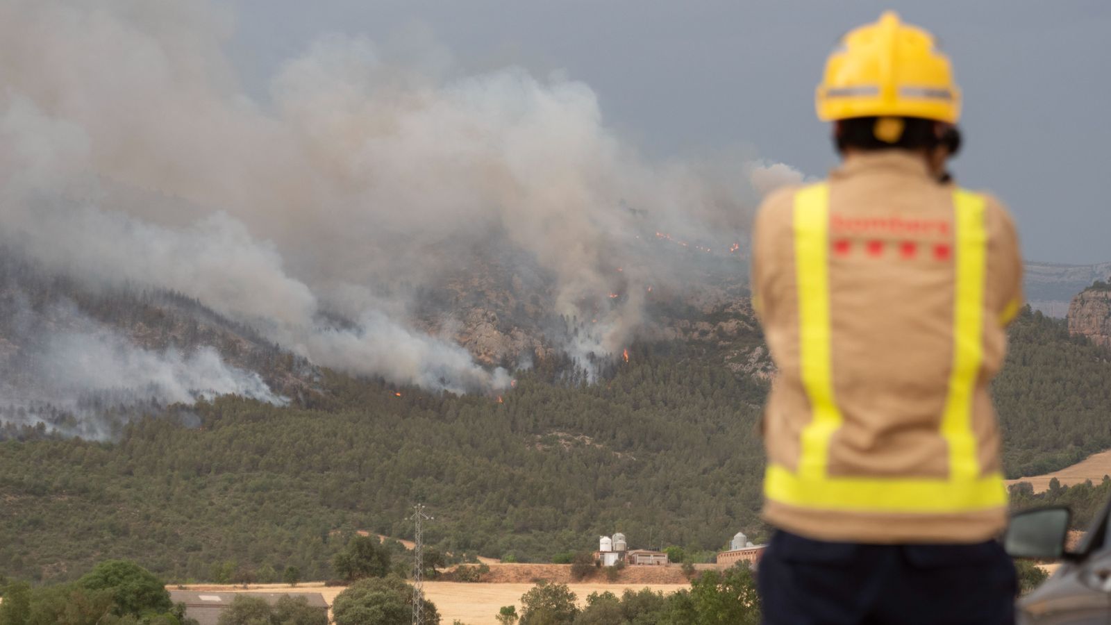 Un bomber observa les flames que avancen al terme d'Artesa de Segre, a Lleida