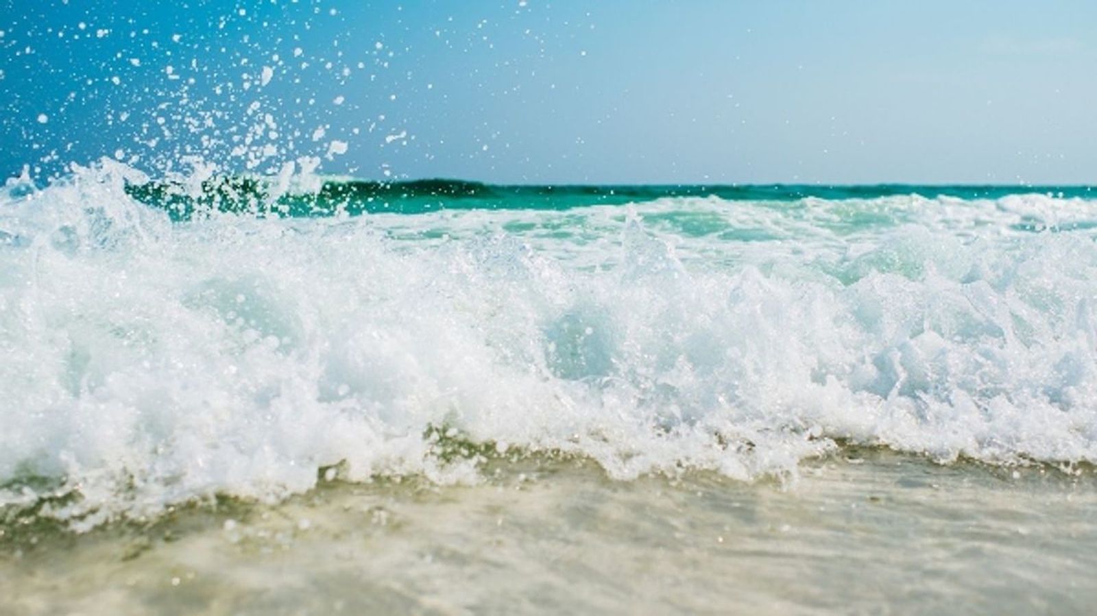 03.07.2019 | Xarxes | Com trobar les millors platges a l'estiu?