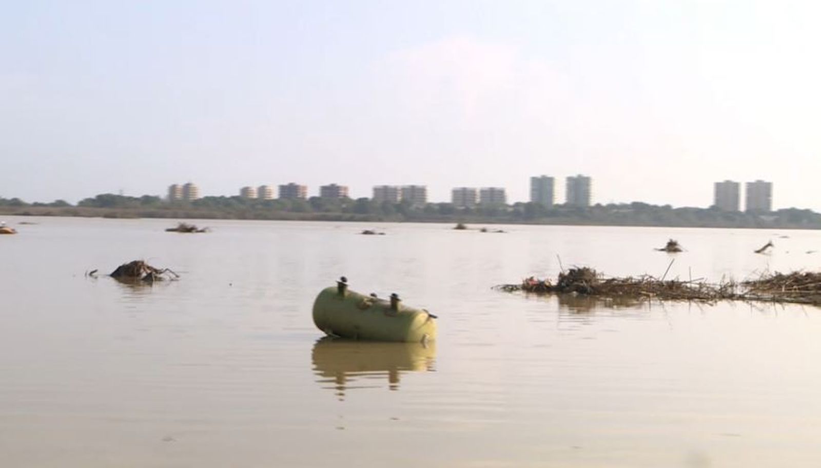 albufera vod