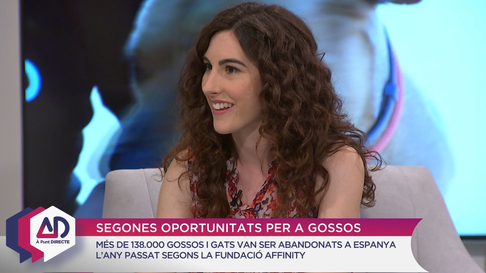 Segones oportunitats per als gossos