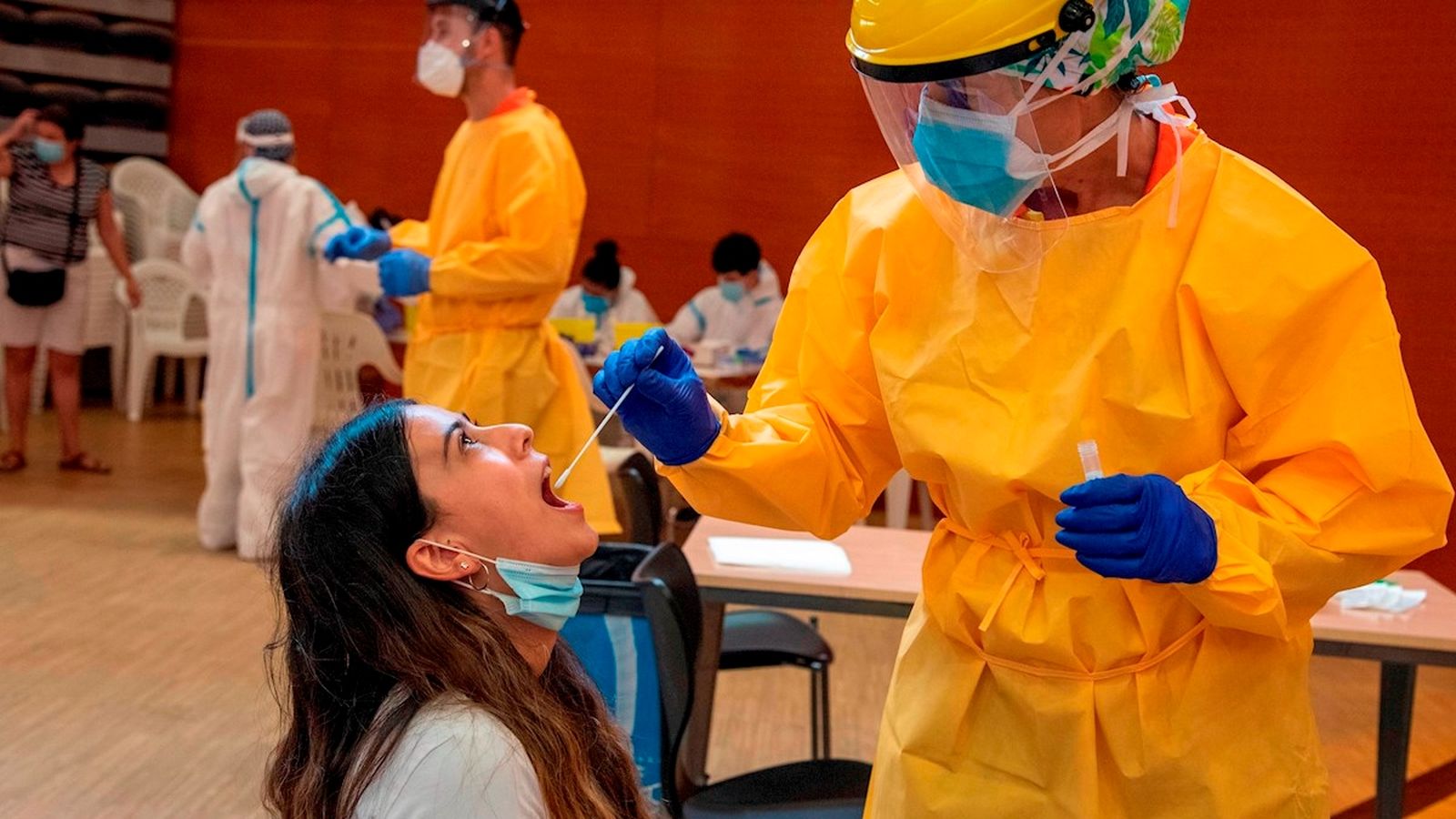 Imatges de proves PCR