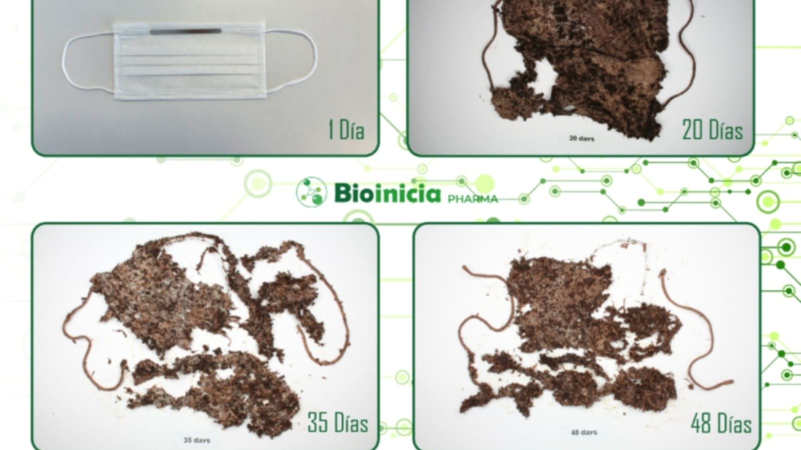 Una imatge de com es degrada la mascareta