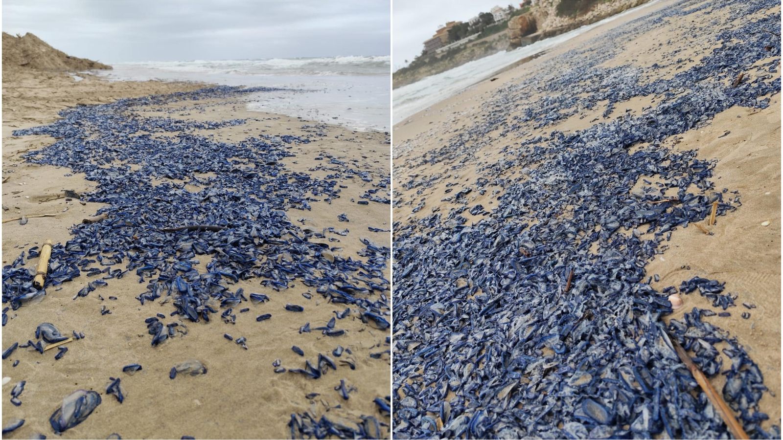 Així ha aparegut la platja del Dosser, al costat del Far de Cullera (Ribera Baixa)