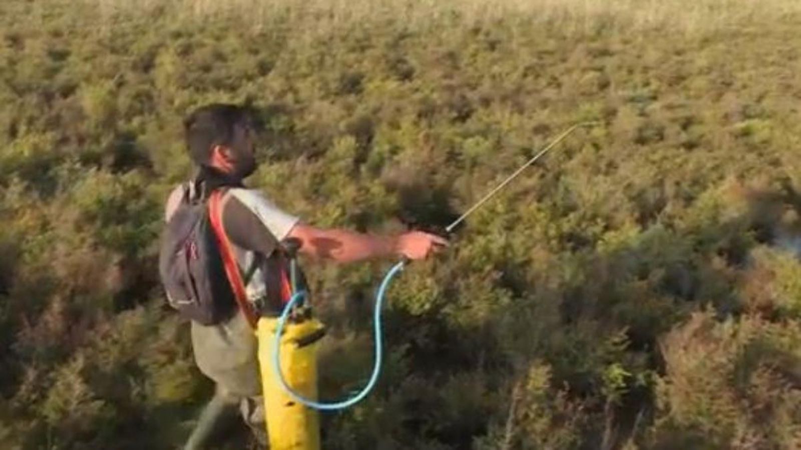 Imatge d'una persona fumigant a Elx