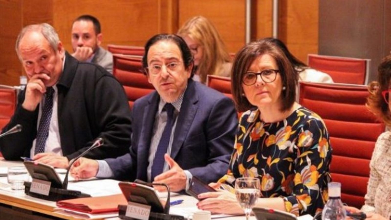 Luis Aznar, en la comissió d'investigació del finançament al Senat