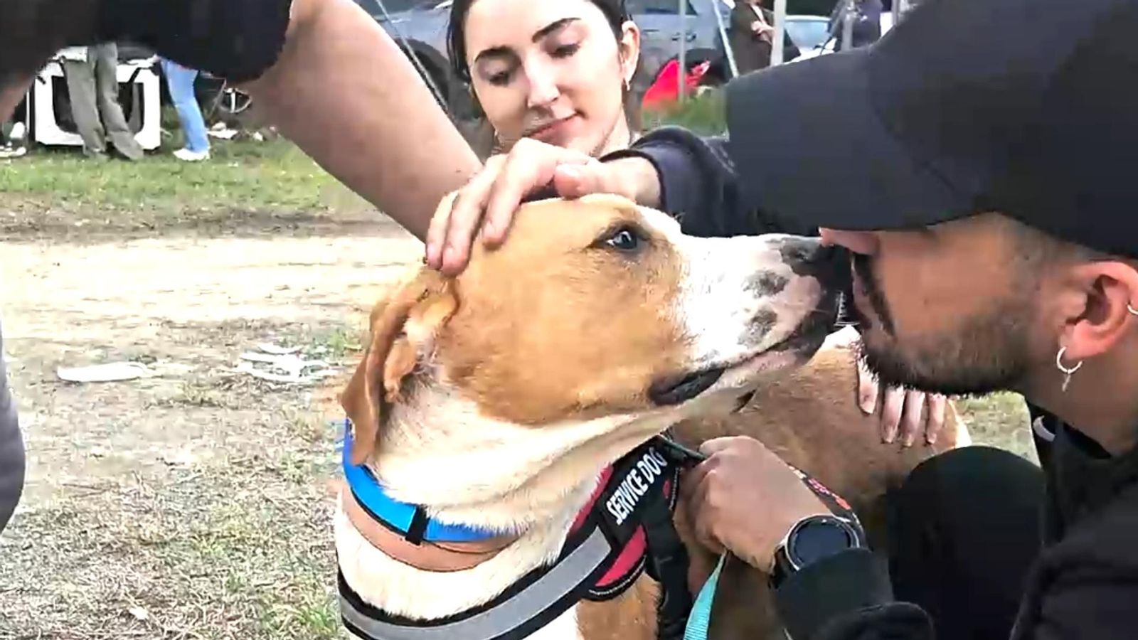 Un gos al costat d'un voluntari del campament solidari d'animals situat en el camp de futbol del CF Sporting Benimaclet, a València