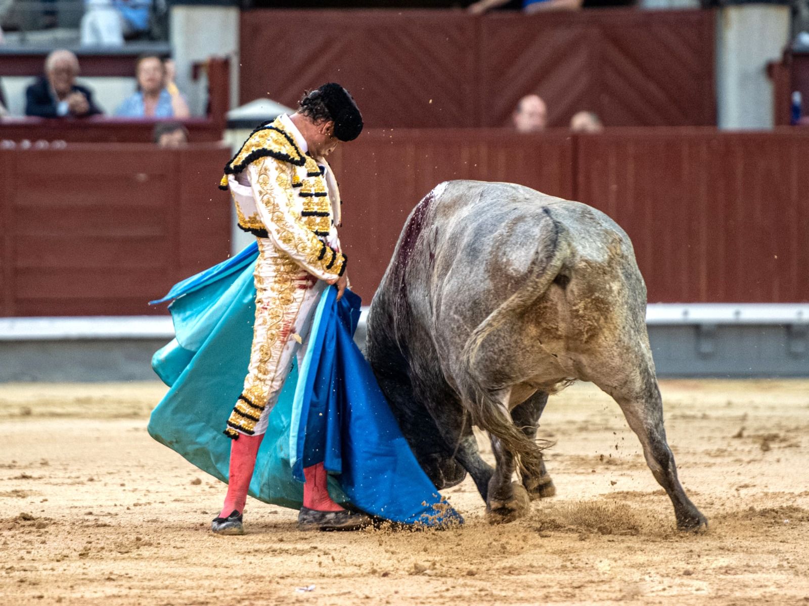 Antonio Ferrera torna a vore's la cara amb els bous d'Adolfo Martín