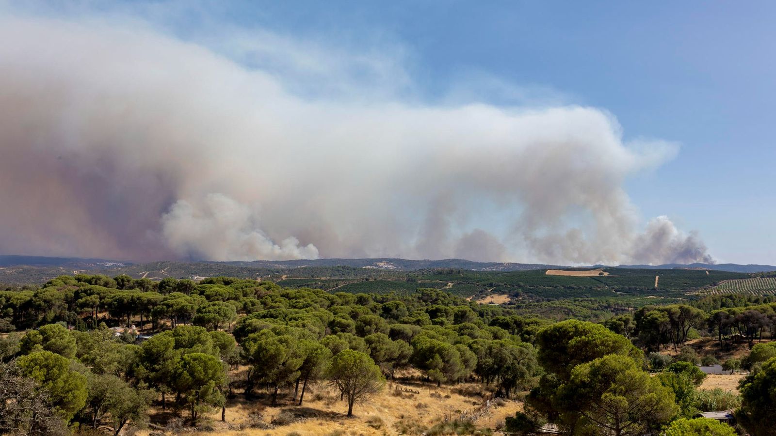 Incendi de Niebla, a la província de Huelva, un dels que continuen actius a Espanya