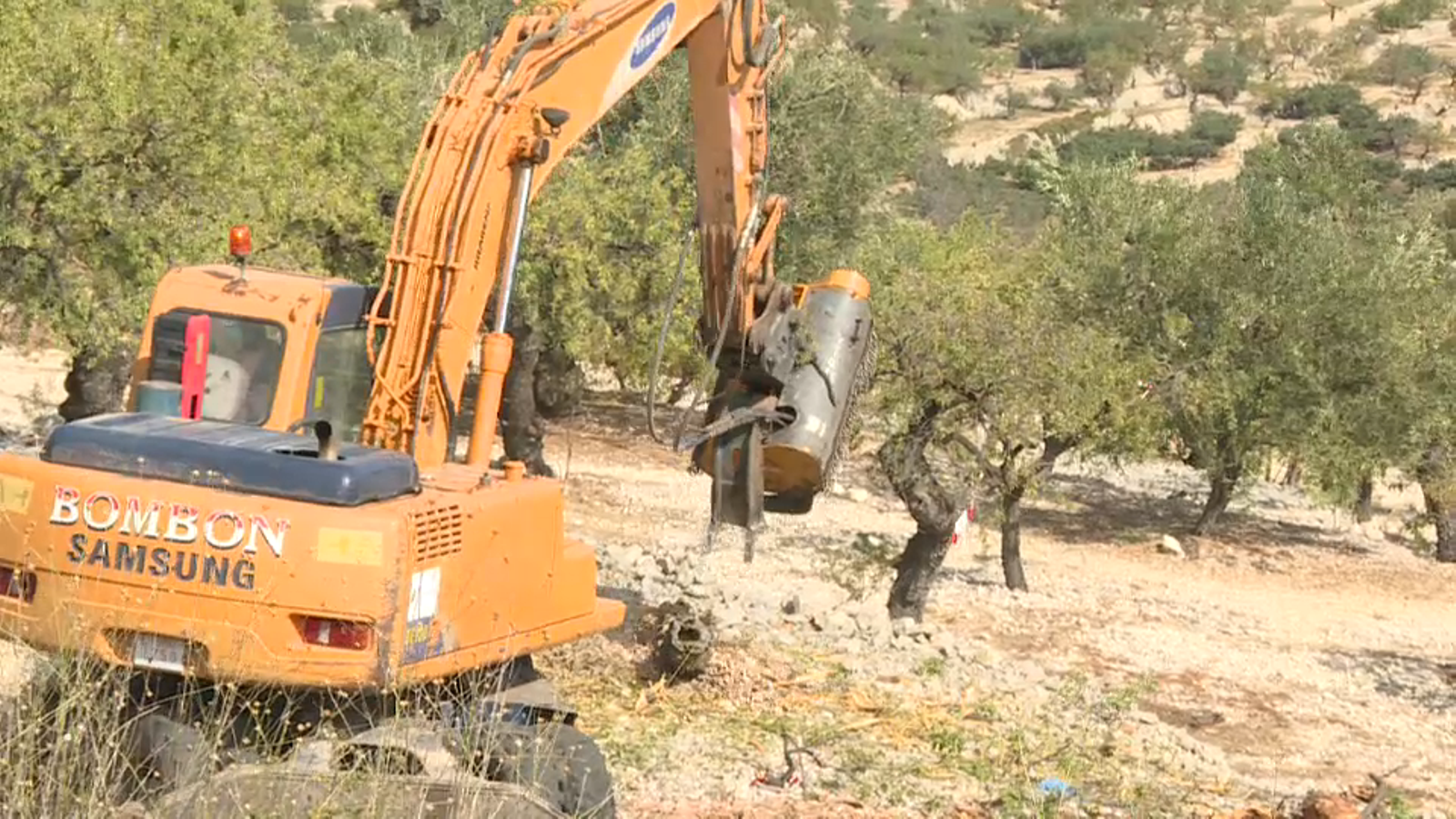 Treballs de neteja d'una màquina excavadora de l'empresa Tragsa en un dels camps afectats per la xilel·la