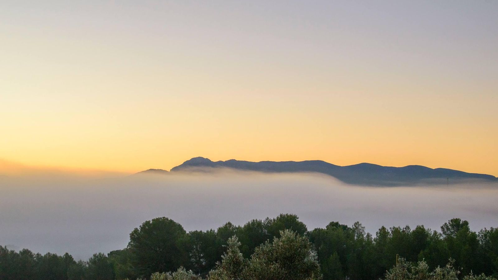 5. MªNIEVES SÁNCHEZ