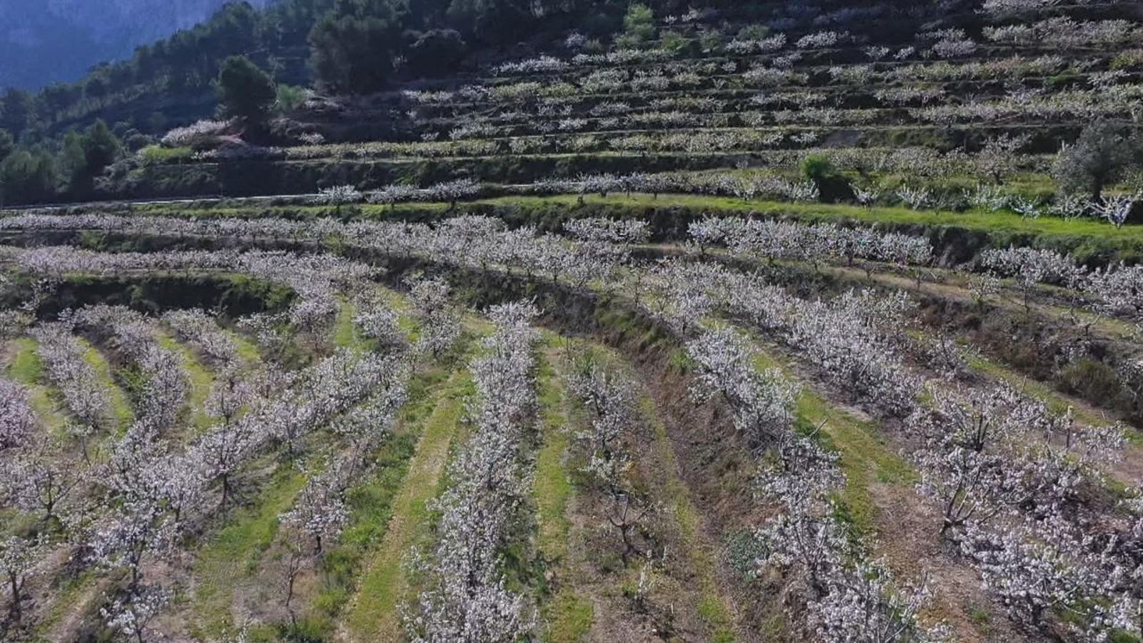 La Vall d'Ebo, un paratge amb un alt valor mediambiental