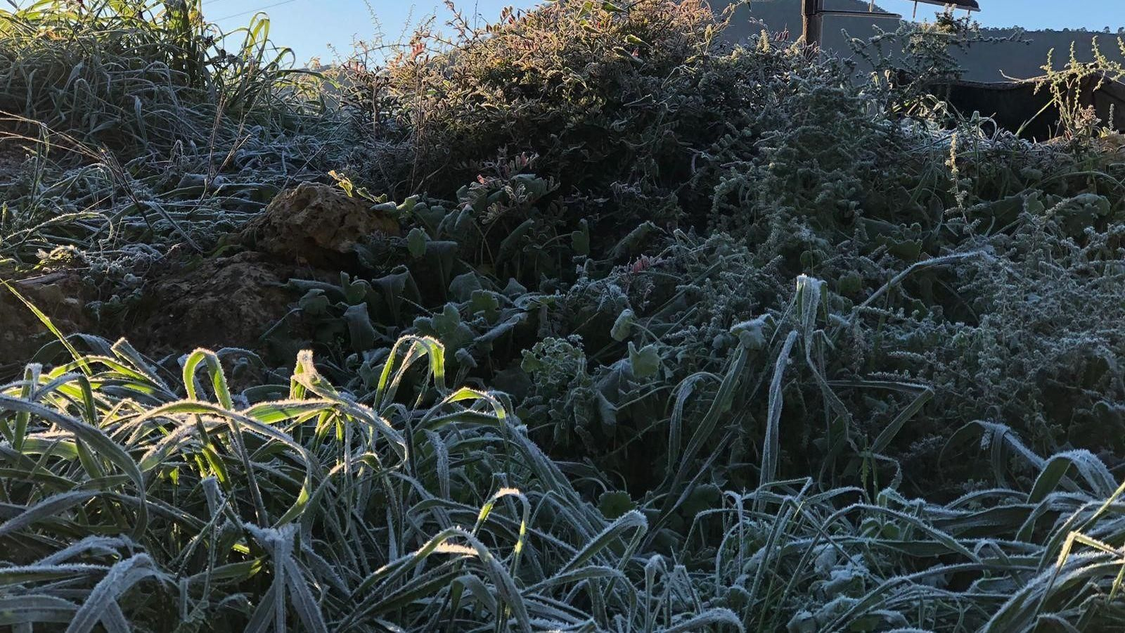 Gelades a Artana, este dimarts de matí