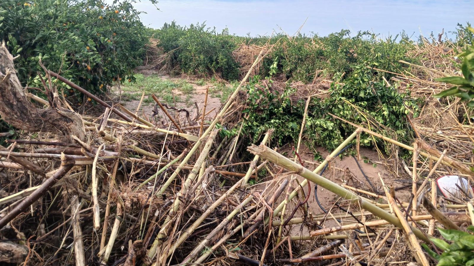 Un camp destrossat per la riuada del 29 d'octubre