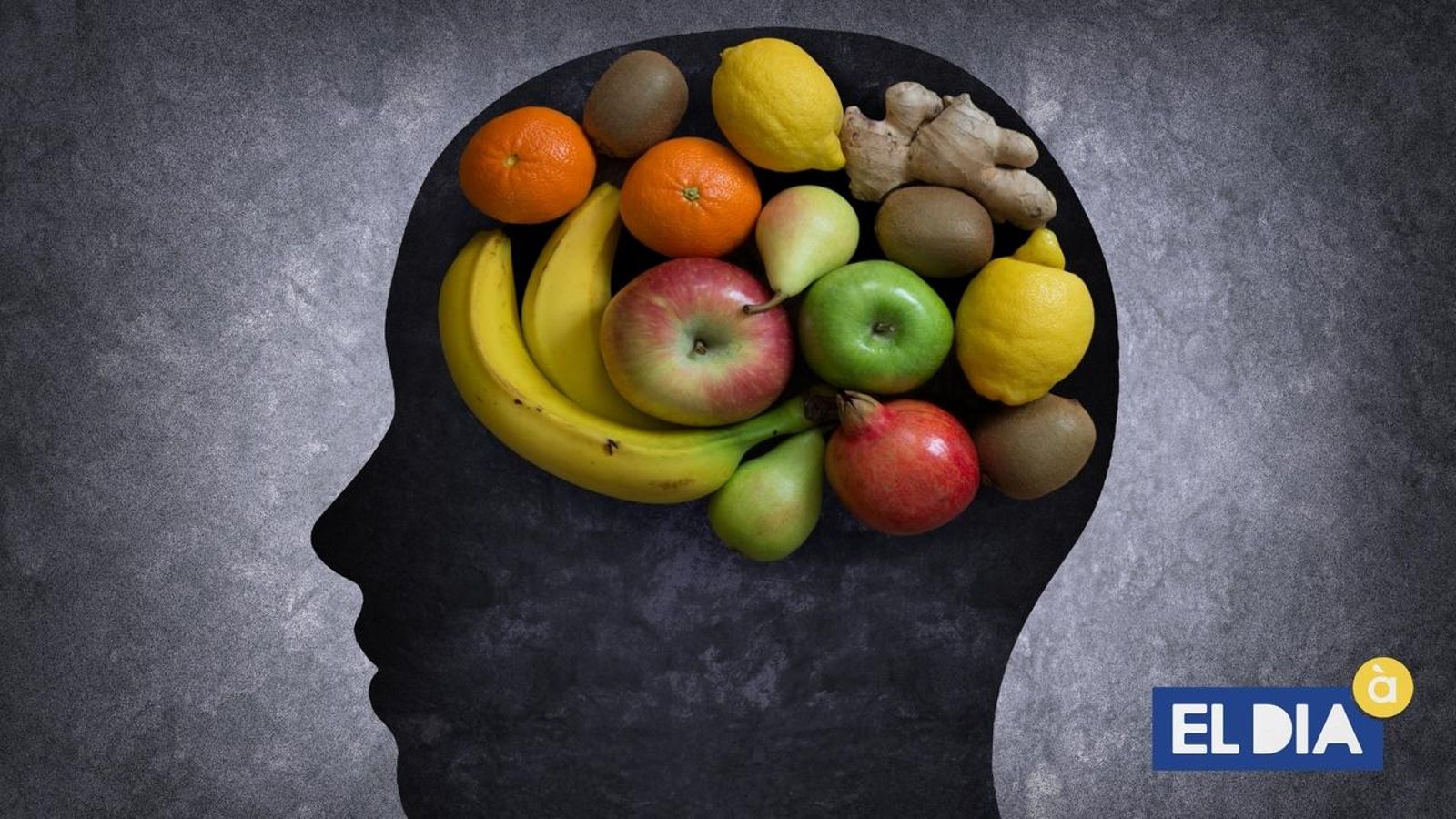 05.07.2021 | Quin impacte té la dieta en el nostre cervell?