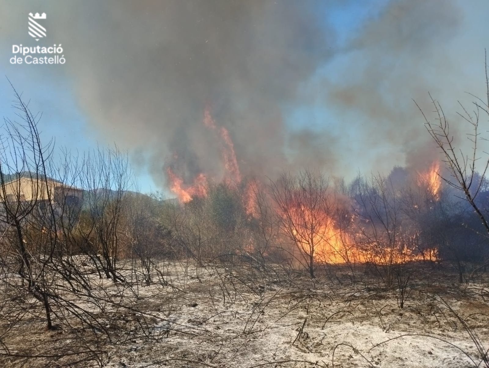 L'incendi de vegetació d'Onda d'aquest dimarts, que ha afectat a un terreny de cultiu abandonat