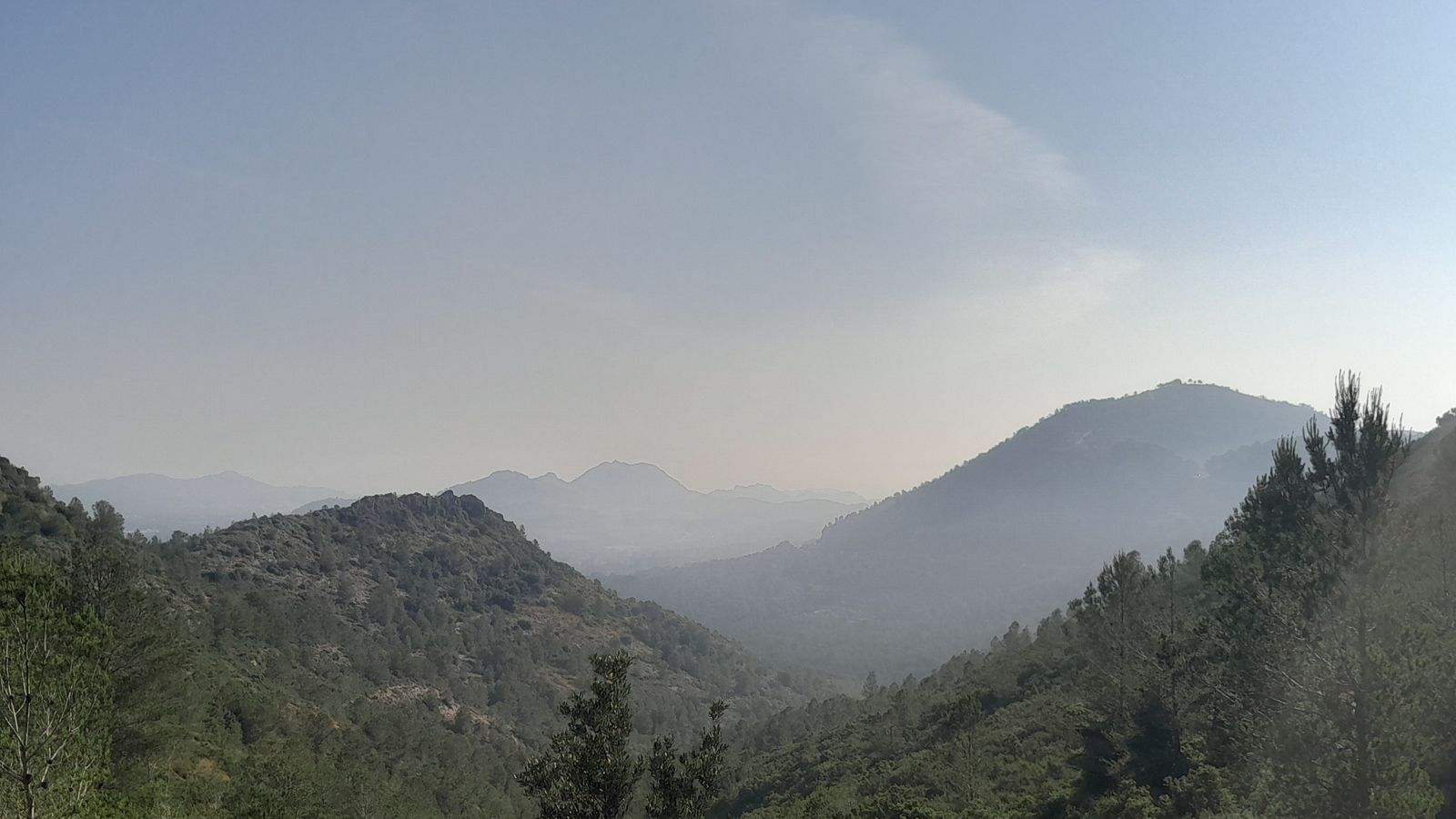 F. XAVIER FERRERO, Canals, la Costera