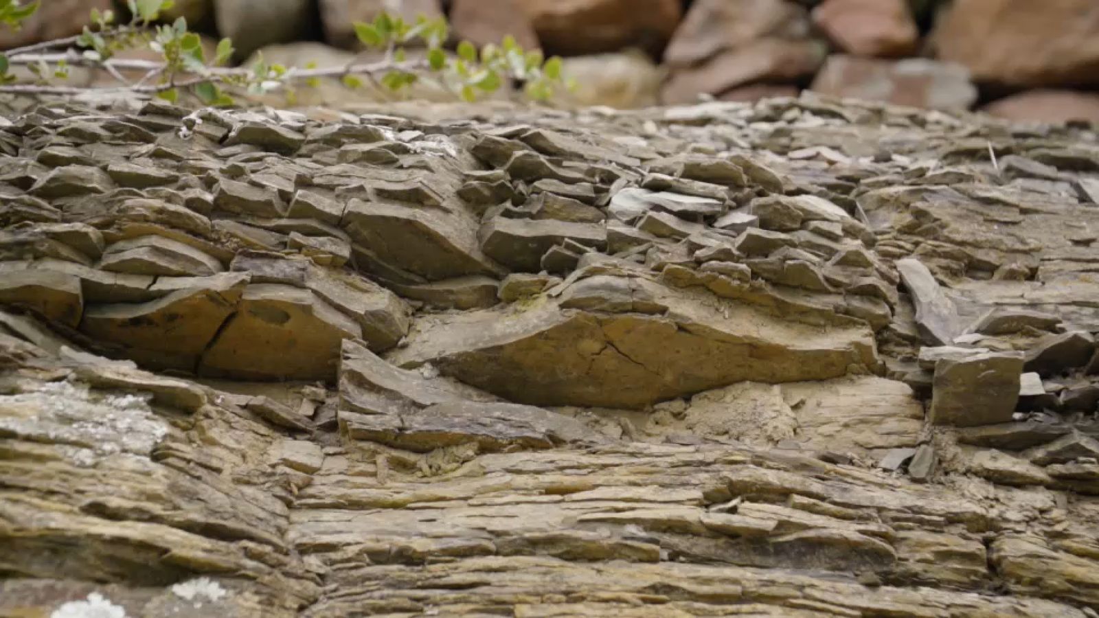 Durant aquest recorregut ens trobem amb una sorpresa geològica, segons detalla Rabasa