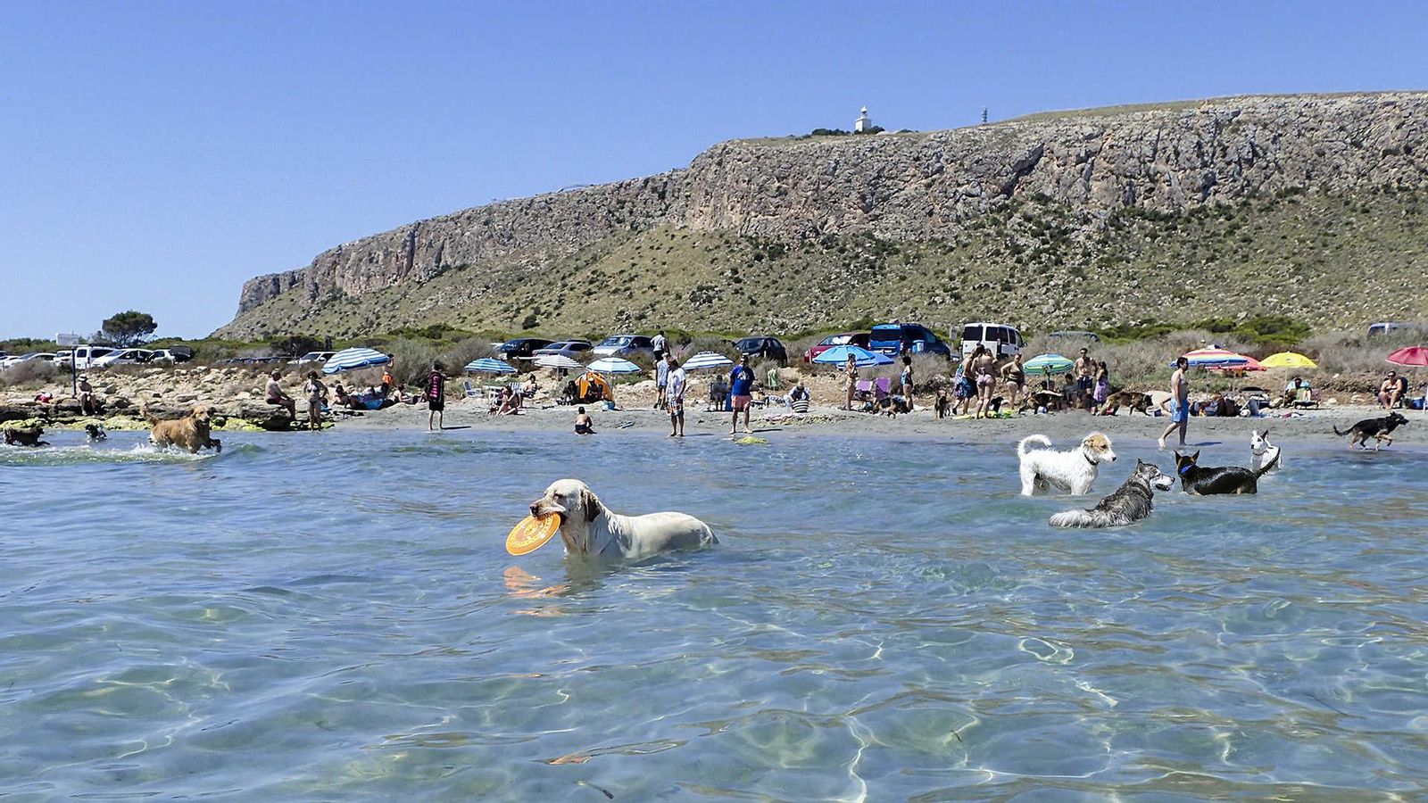 Caleta dels Gossets, a Santa Pola