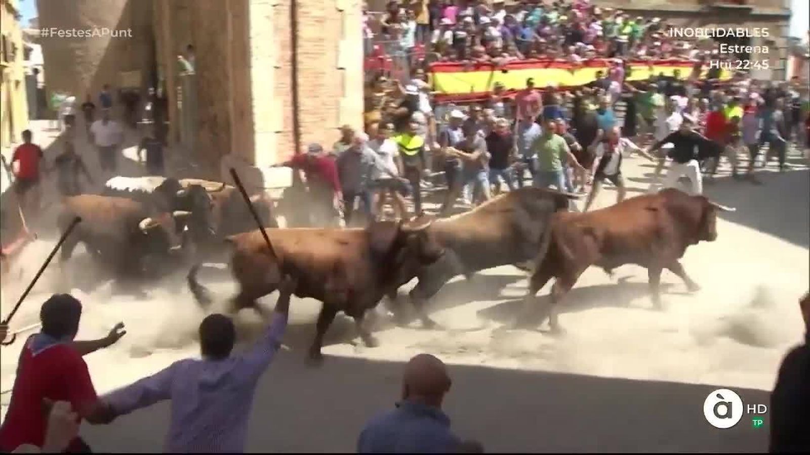 10.09.2019 | Segona entrada de Bous i Cavalls de Sogorb