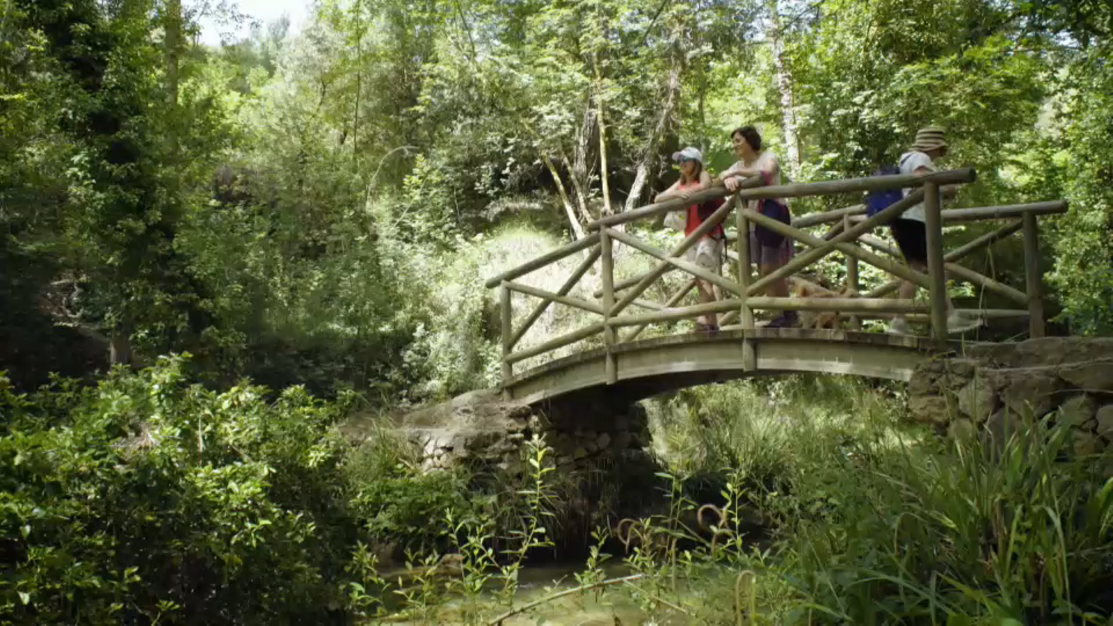 Ruta de molins de Banyeres de Mariola