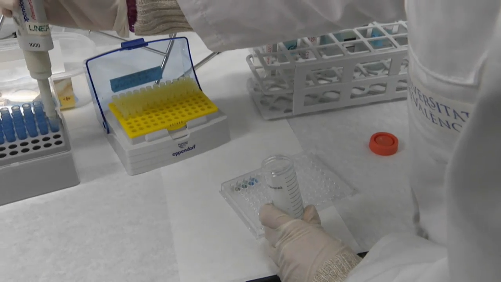 VÍDEO | L'investigador valencià Ezequiel Monferrer ha fet avanços en el tractament del neuroblastoma