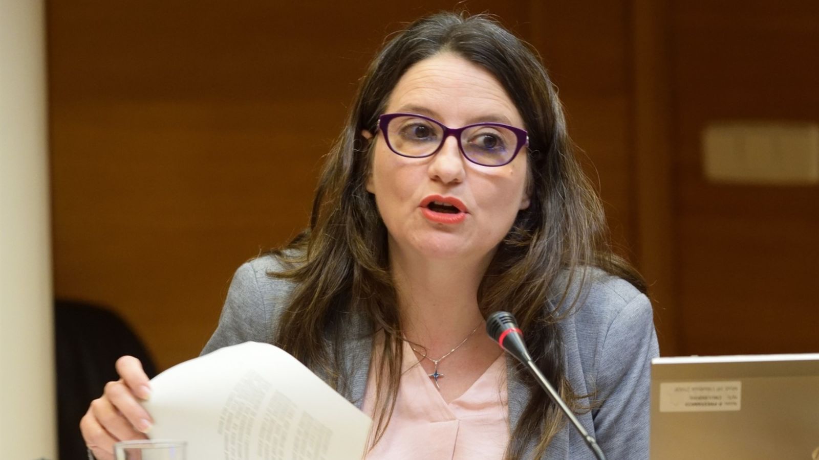 La vicepresidenta del Consell, Mónica Oltra, durant la seua intervenció