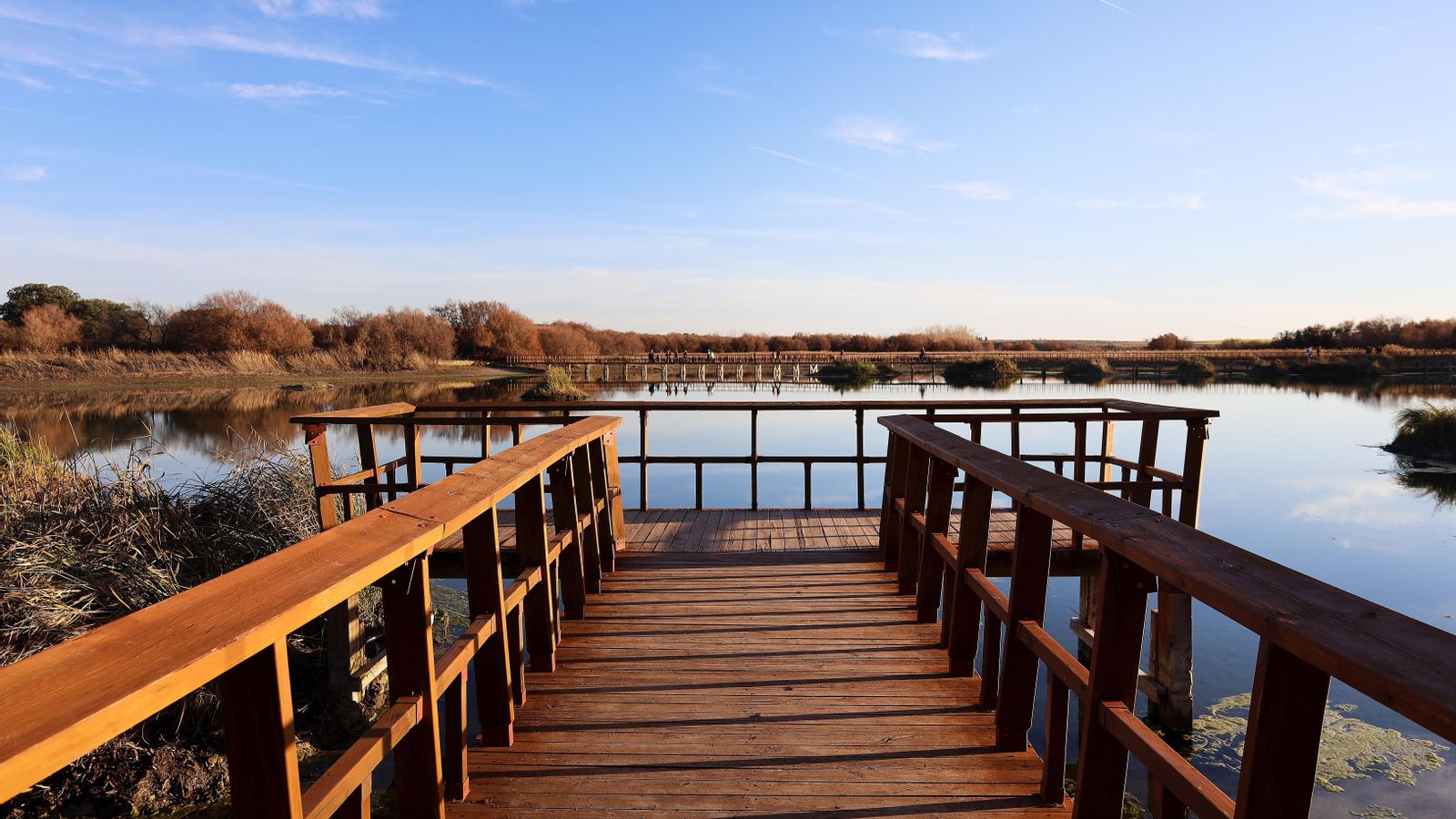 Aiguamoll del parc nacional de las Tablas de Daimiel, a Ciudad Real, Castella-la Manxa