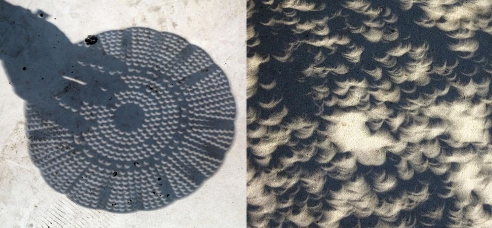 Exemples de l'efecte colador i de l'ombra de les fulles dels arbres durant un eclipsi