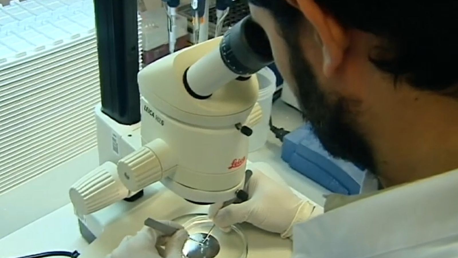 Un investigador realitza tasques al laboratoris en una imatge d'arxiu