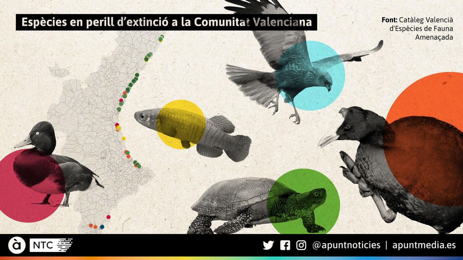 Espècies en perill d’extinció a la Comunitat Valenciana