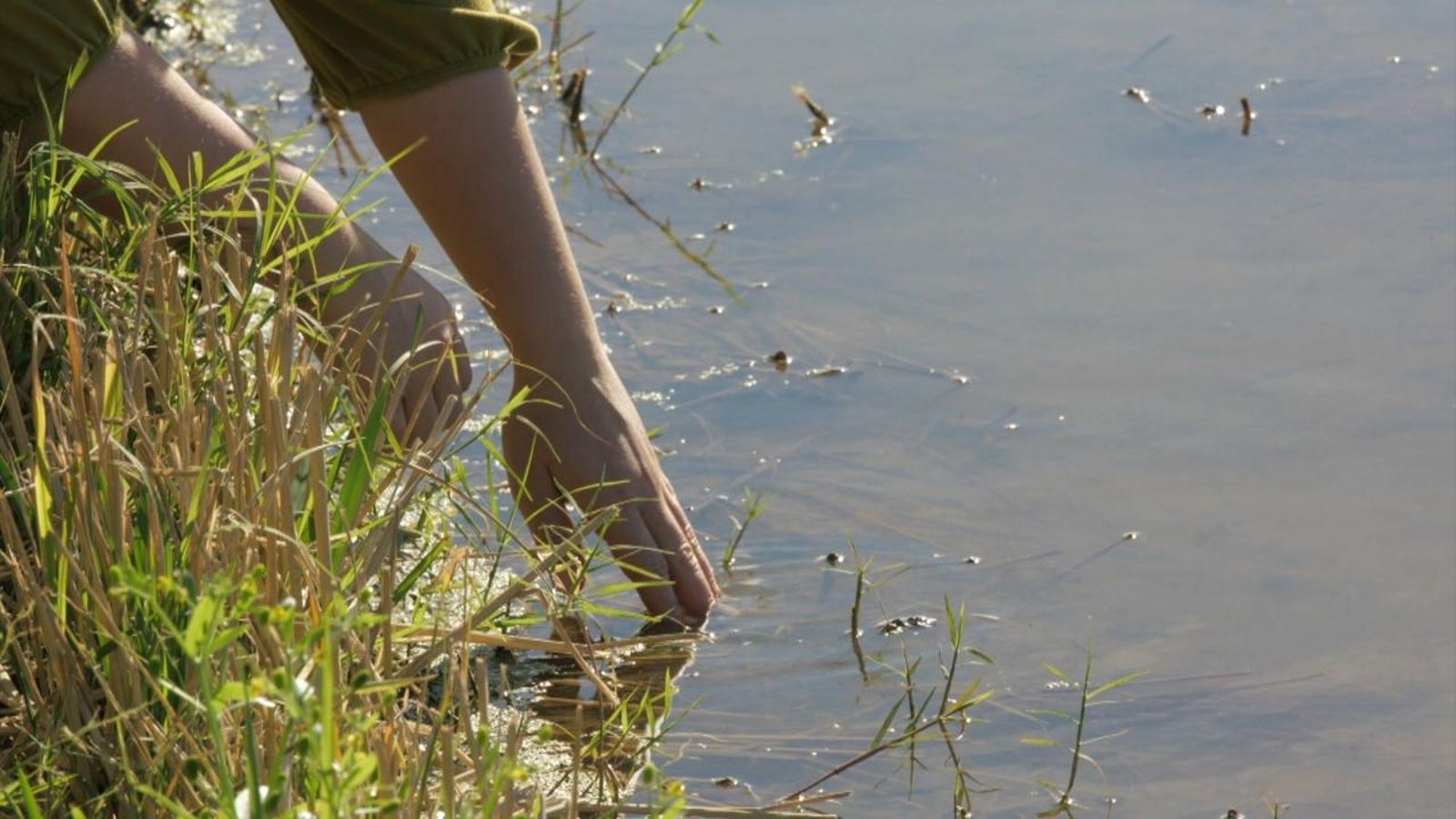 Coneixem l'expressió 'pam a pam'