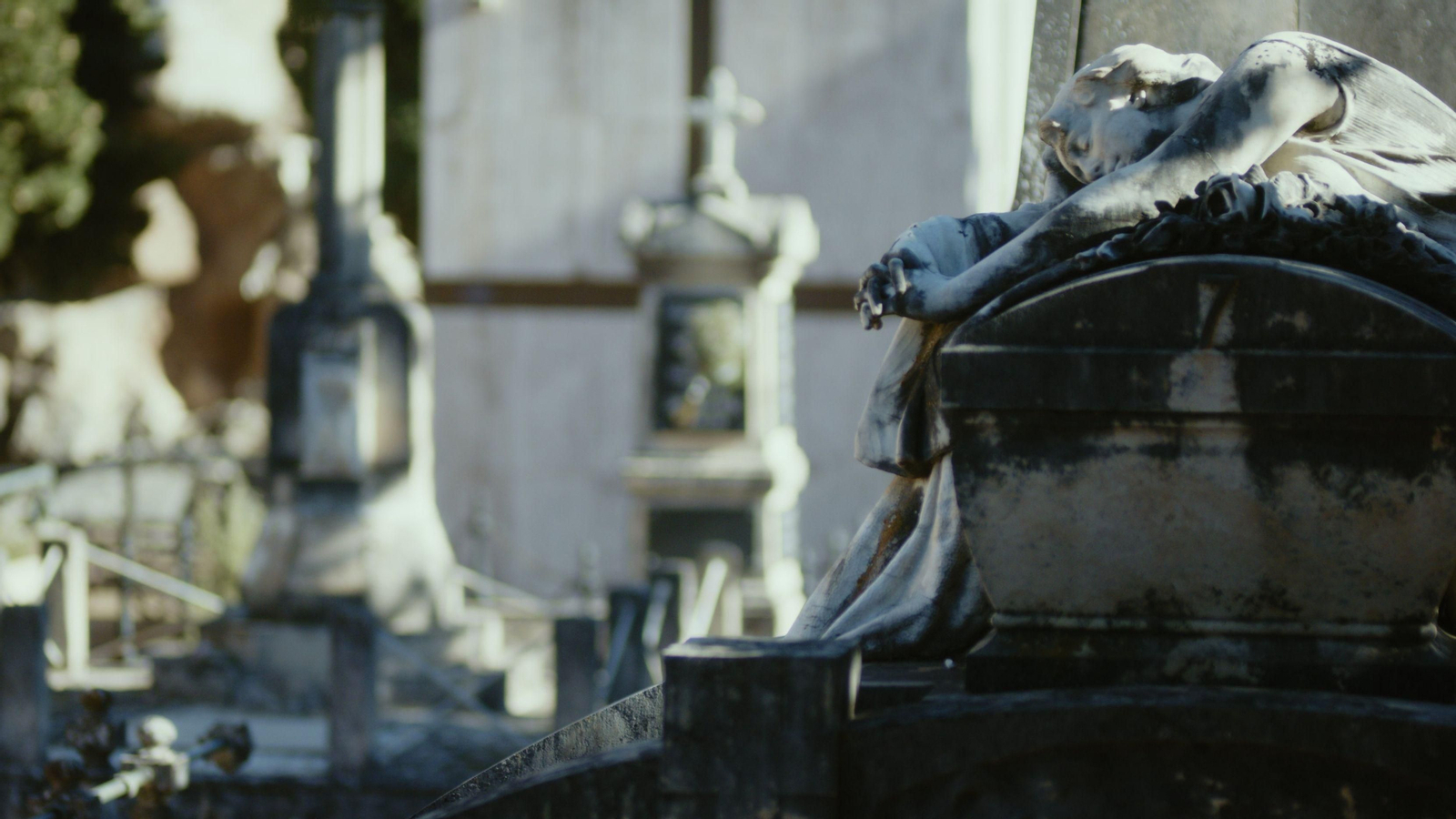 Cementeri Sant Antoni Abad (Alcoi)