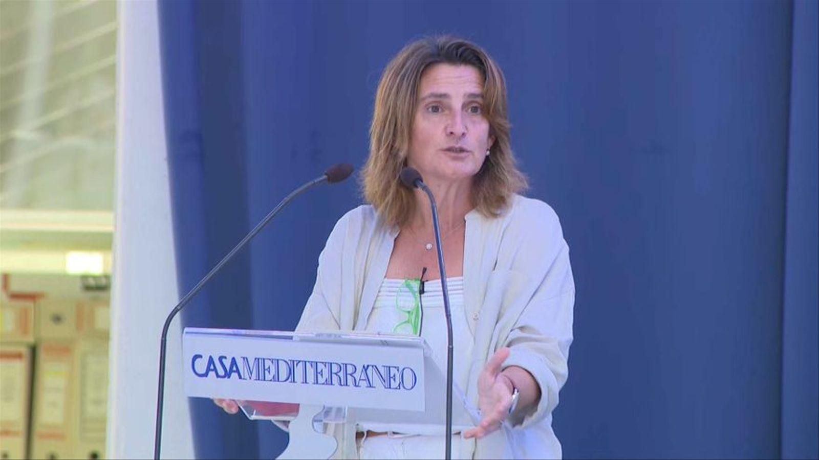 Teresa Ribera, en una imatge d'arxiu