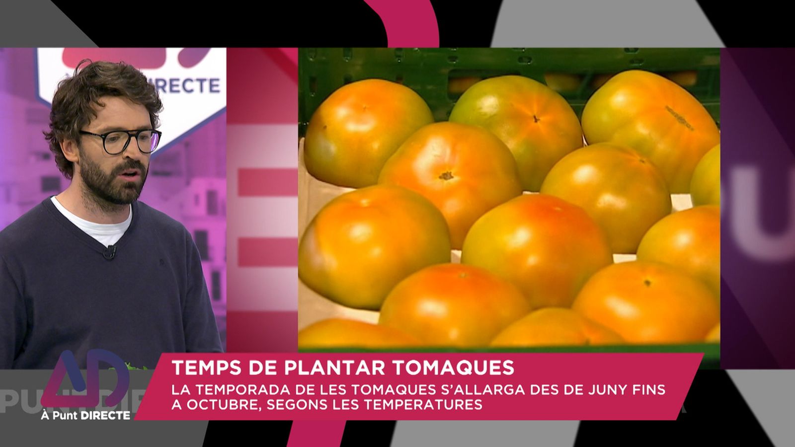 Temps de plantar tomaques