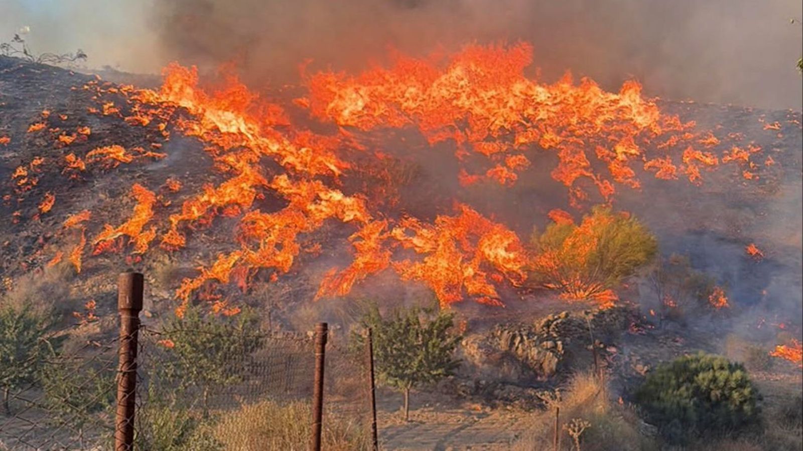 L'incendi forestal a Los Gallardos es va declarar este dijous