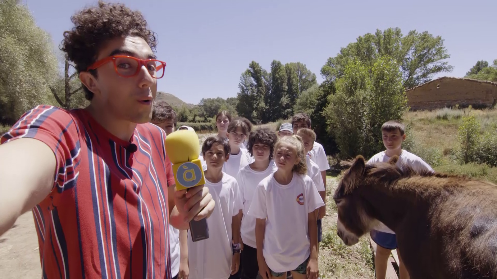 La Colla Esplai | Trotar i galopar