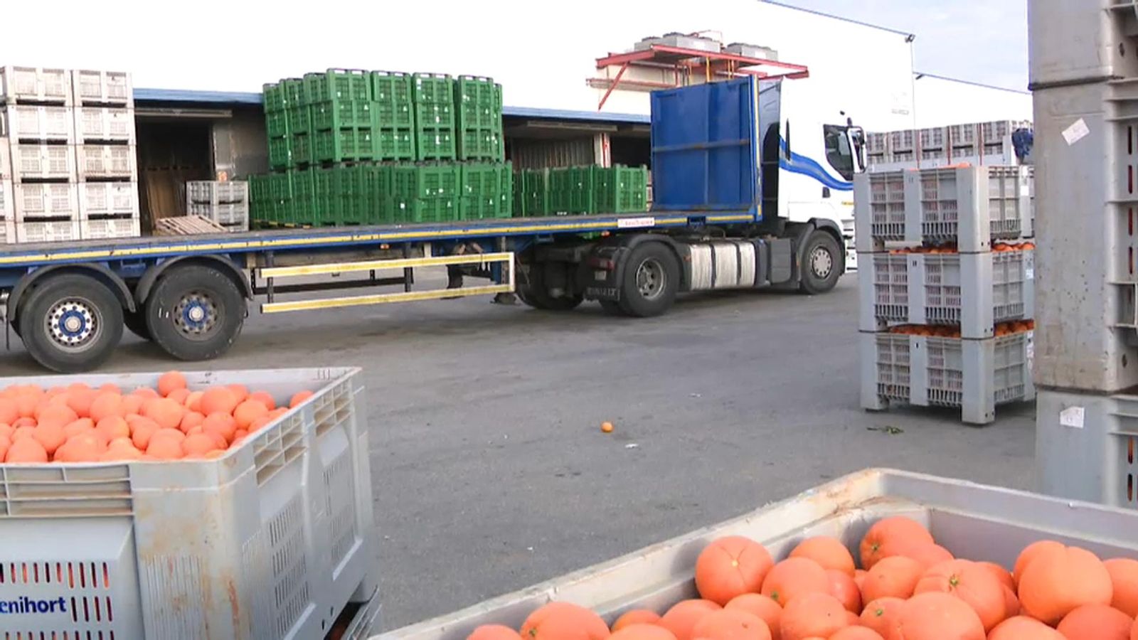 La Comissió Europea establirà un observatori de preus del sector citrícola