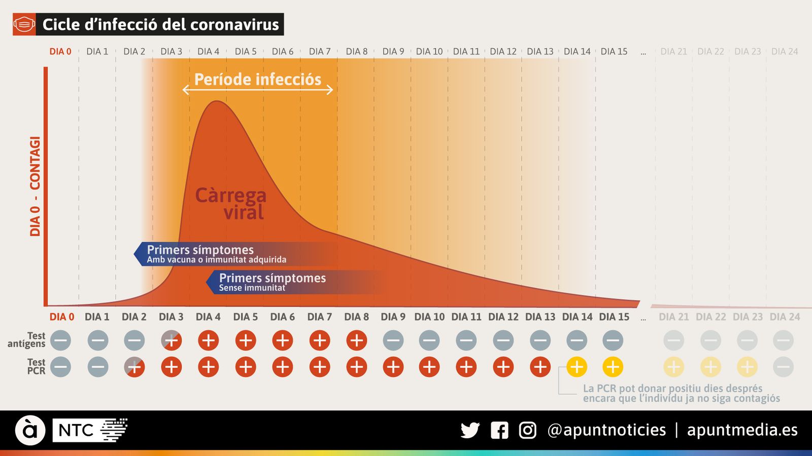 Cicle d'infecció del coronavirus