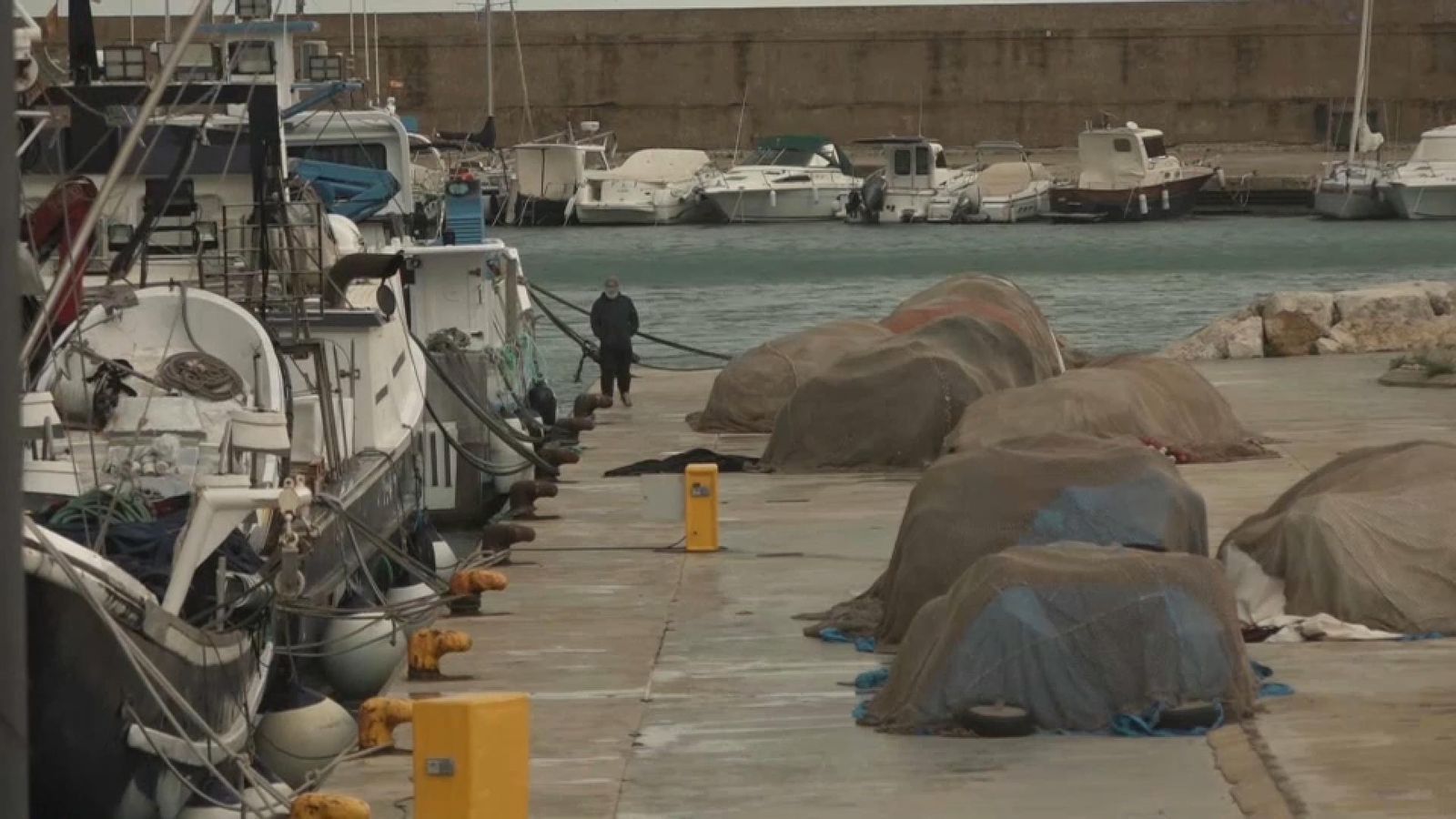 Embarcacions pesqueres amarrades al port de Xàbia