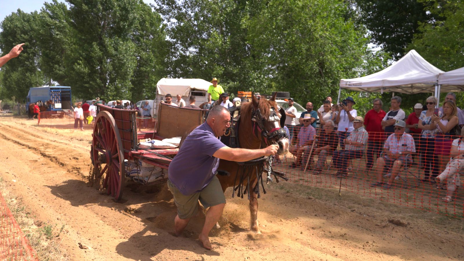 La XIX Feria de Barracas agrícola, un aparador del món rural