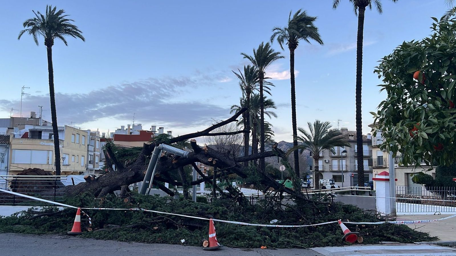 Cau l'abet de la Font Gran, a Simat de la Valldigna