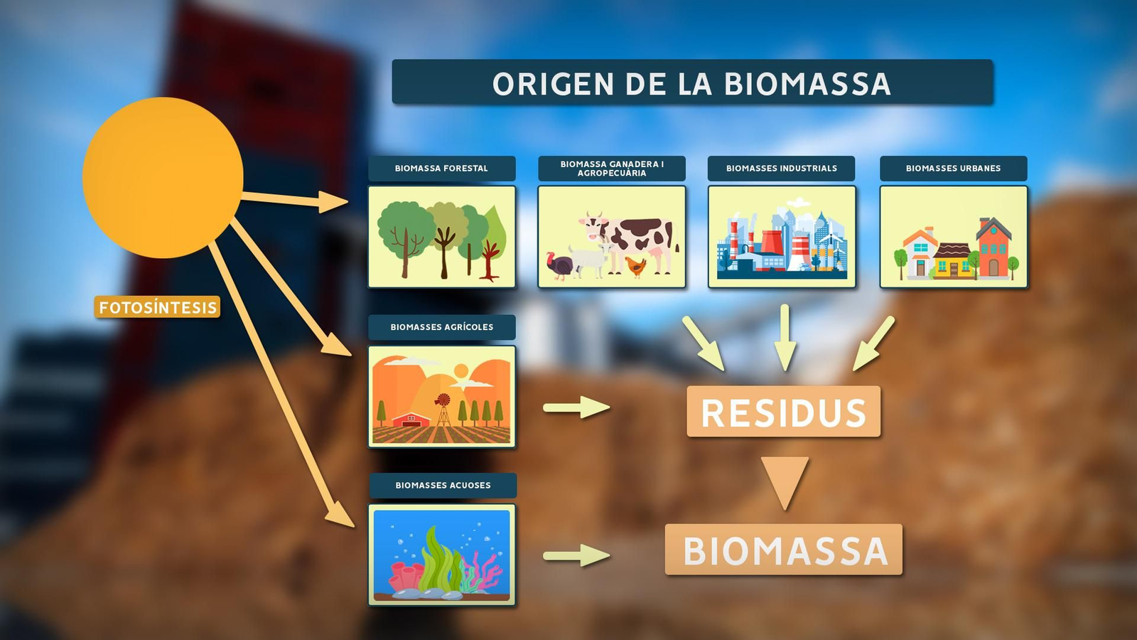 Origen de la biomassa