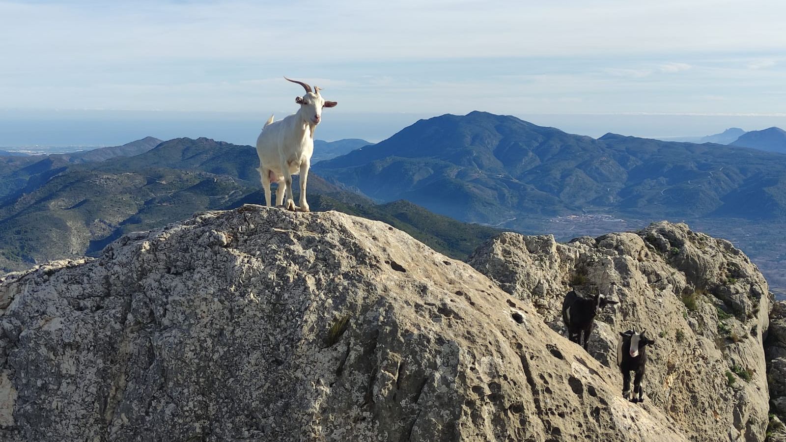 BENICADELL, LA VALL D'ALBAIDA